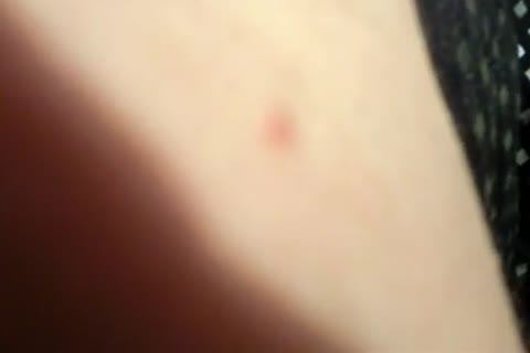 carmen loves duel sex dildos