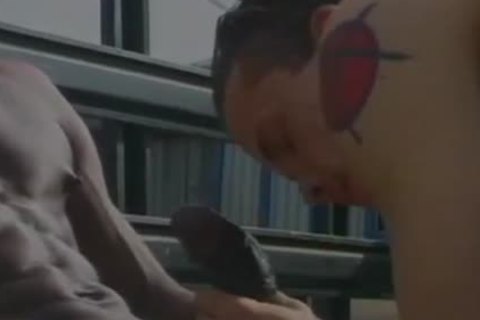 Chris young Is A Total hooker For Bam\'s darksome rod