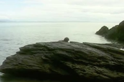 The Sea God Poseidon Takes A lover