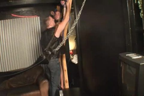 Da_dy Mugs And Marxel