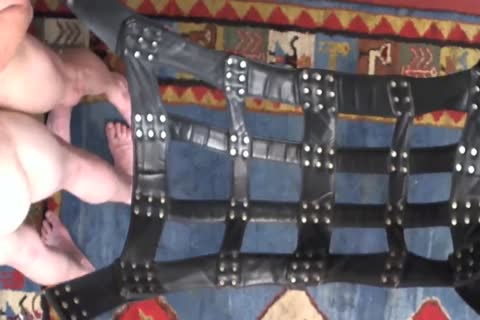 Wir Ficken Im Sling Mit Wechseln