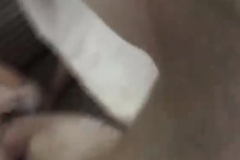 cum gay Porn First Time Max Ultimately assented And The males