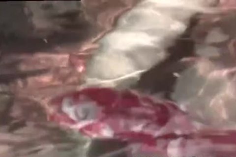 that dude is A Great Lil' cock