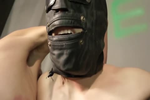 Very cute gay BDSM