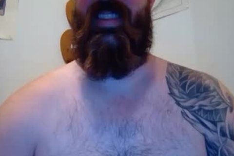 BEARDGAME227 IS LOOKING FOR A BEAR