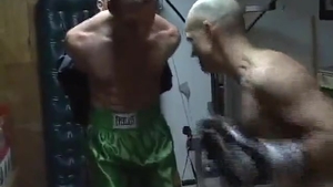Gut Punch Gay
