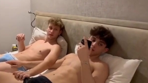 young knob pair In blowjob Action