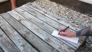 SayUncle Labs: Short Hair, Short Shorts, Big Bucks