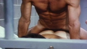 Falcon Studios: Falcon 70s Flashback: A Wild, Wild Ride