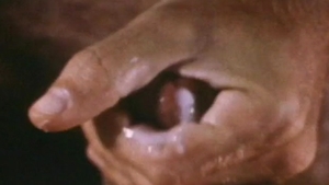 Falcon Studios: Bareback Bonanza with Three Insatiable Men