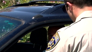 Samuel O'Toole: Pulled Over for a Deep Dicking