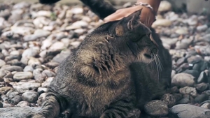 Best Friends Turn into Wild Whores