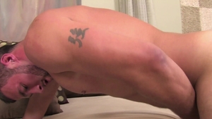 Solo: Hayden's Throaty Treats