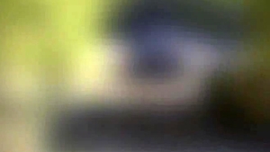 Next Door Buddies: Cabin Fun with Phoenix & Cory