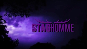 staghomme: A Sub's Thrill: Obedience and Discretion