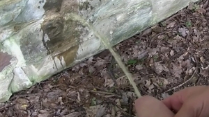 Czech Hunter: Picking up Guys on a Bus